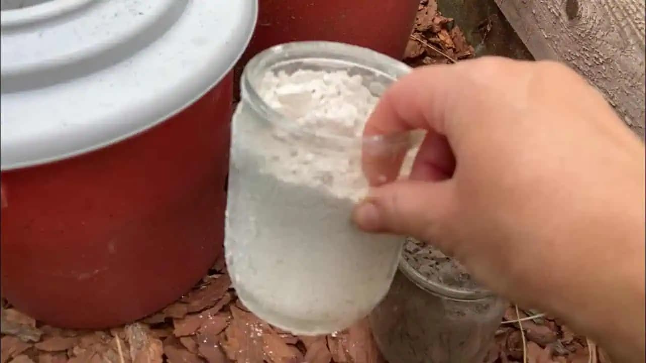 Najlepšie hnojivo pre papriku si pripravíte podľa tohto návodu: Môžete sa tešiť na bohatú úrodu a zdravé plody!