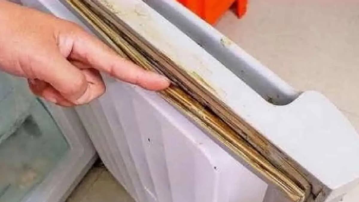 Zabudnite na drahú chémiu: TOTO vytiahne zažltnutú špinu a mastnotu aj s tesnenia na chladničke – 15 minút a je ako nové!