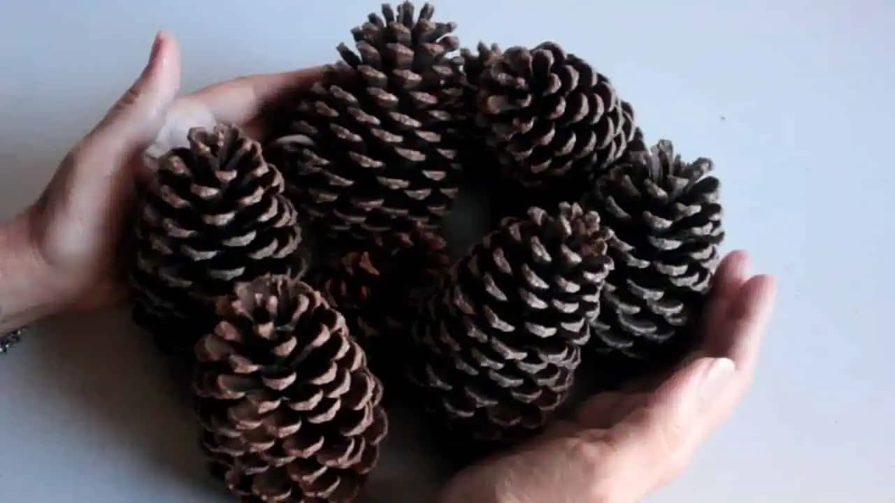 Perfektný nápad na dekoráciu zo šišiek: Nestojí skoro nič, zrecyklujete odpadový materiál a krásne zútulní každý domov!