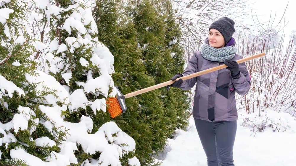Dôležité kroky údržby, za ktoré sa vám záhrada na jar odvďačí krásou