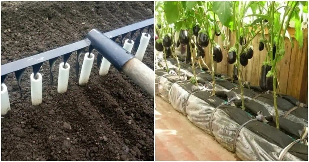 Neočakávané a užitočné TRIKY do záhrady: Uľahčia vám prácu pri pestovaní zeleniny, ušetria peniaze aj čas!