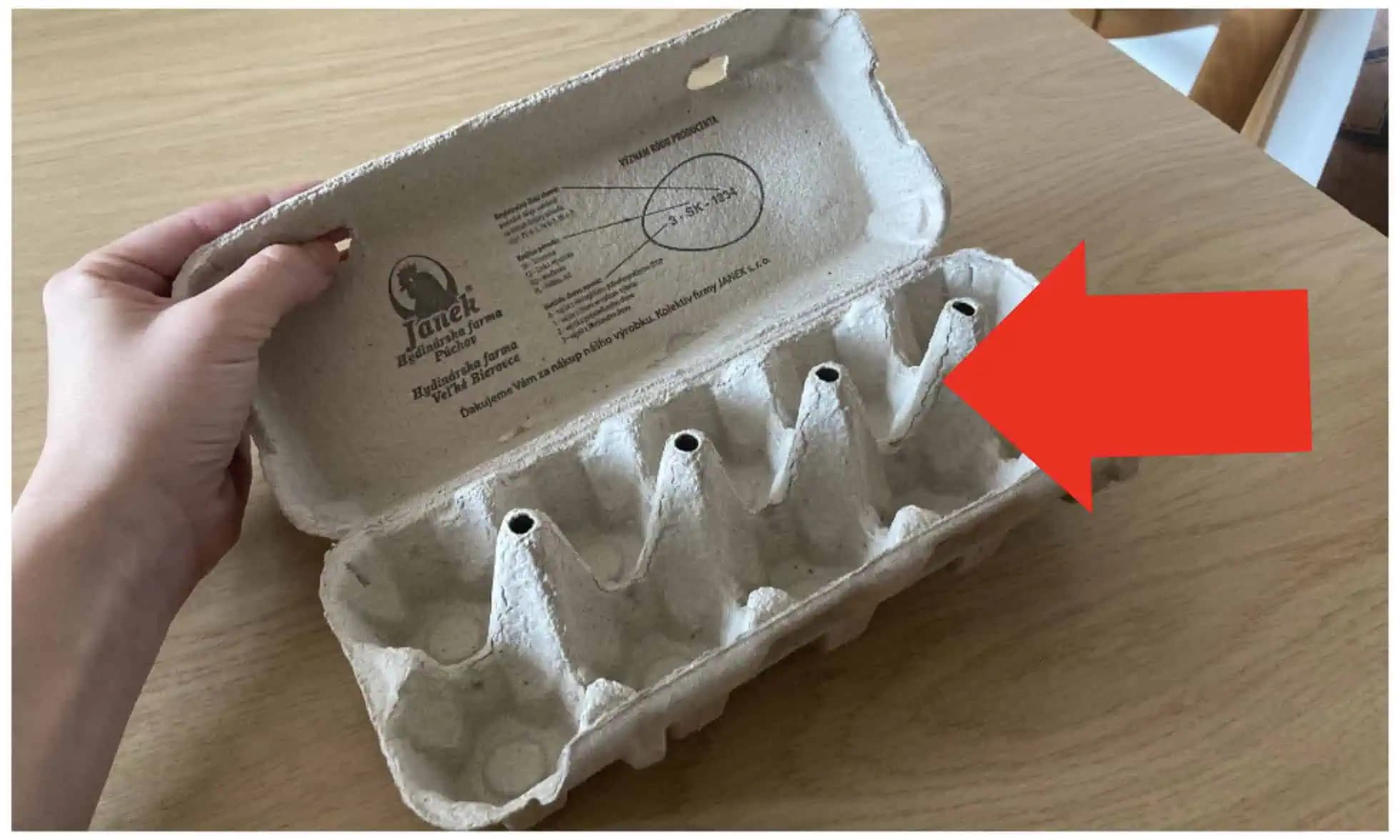 Zobrala len prázdny OBAL OD VAJEC a vytvorila snáď najkrajšiu veľkonočnú dekoráciu: Túto krásu by sme veru nečakali!