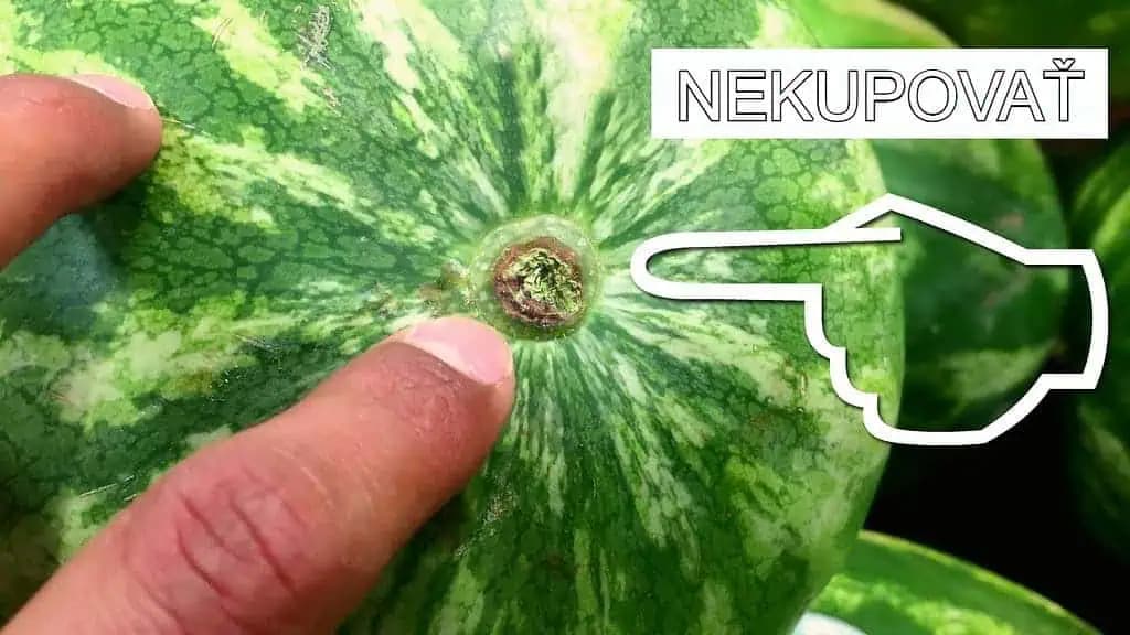 NAJLEPŠIA rada, ako si vybrať sladký melón: S týmto sa mi NIKDY nestalo, že by bol nedozretý alebo málo sladký!