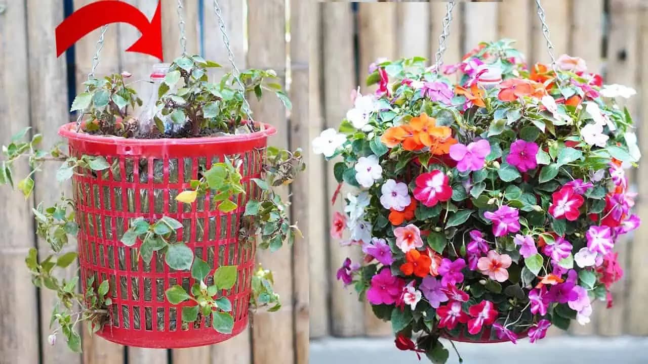 Perfektný nápad z odpadu, ktorý bude obdivovať celá ulica: Vaše balkónové rastliny budú rásť do krásy!