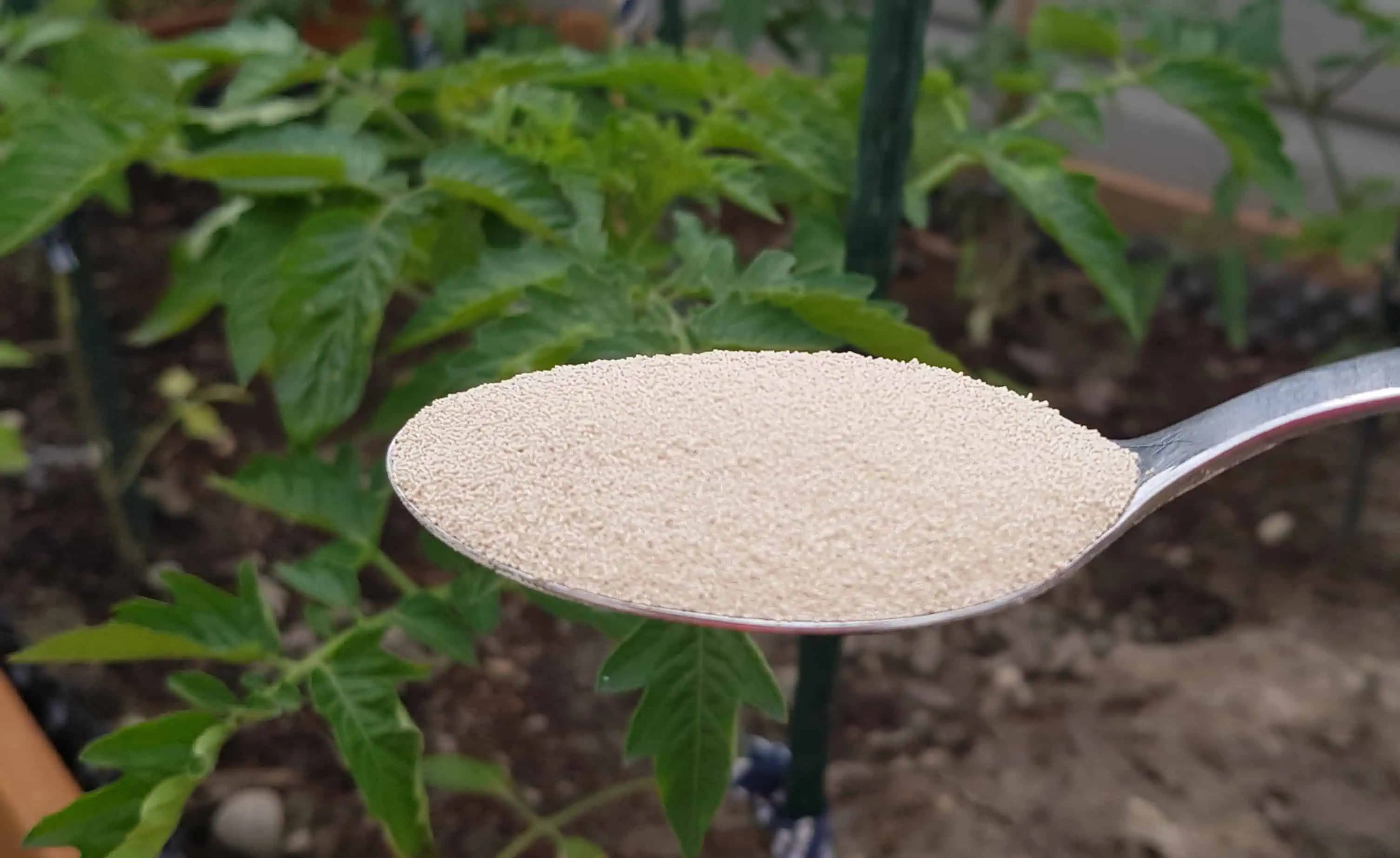 1 lyžica na vedro s vodou pre lepšiu úrodnosť pôdy: Nalejte tento roztok na pôdu v záhrade a bude ako nová!