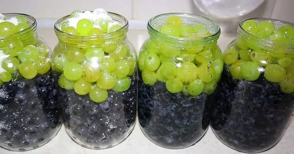 Takto skladujem hrozno zo záhrady až 2 ROKY: Je ešte chutnejšie ako čerstvé!