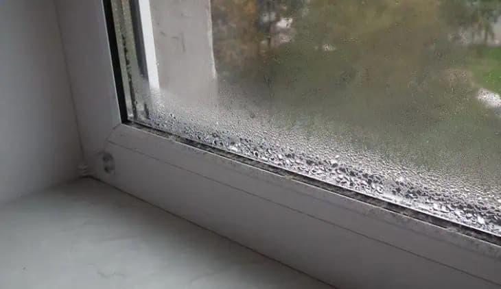 Stará RADA, ako nadobro zlikvidovať vlhkosť a pleseň v byte: Zmizne a už sa neobjaví!