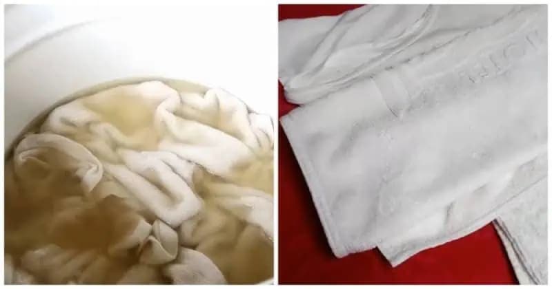 Aj tie NAJVIAC ZAŽLTNUTÉ veci budú snehobiele a dokonale čisté: Postupujte podľa tohoto babského RECEPTU!