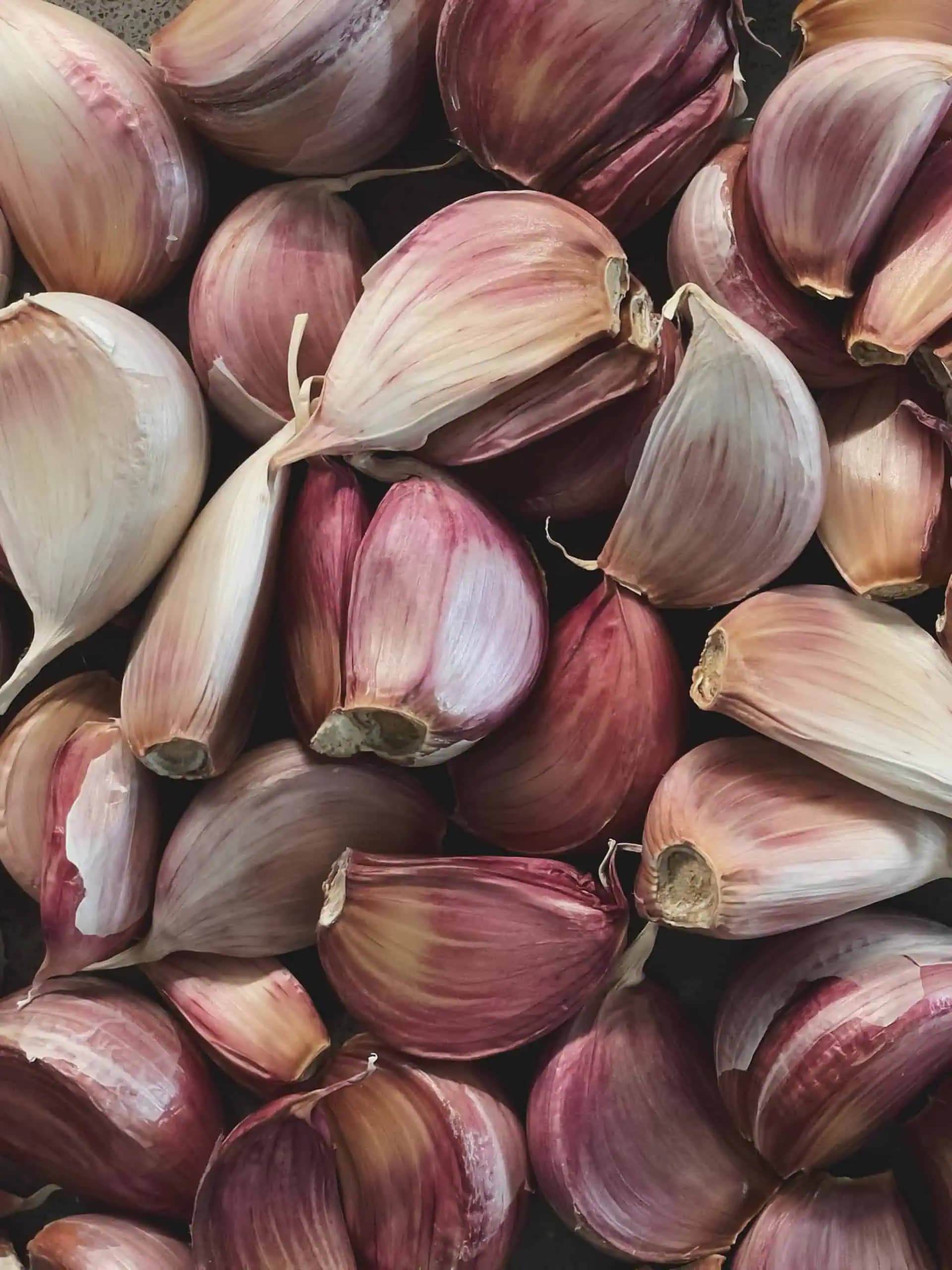 Najlepšia metóda sadenia cesnaku: Vysaďte ho na jeseň a na jar zberáte úrodu!