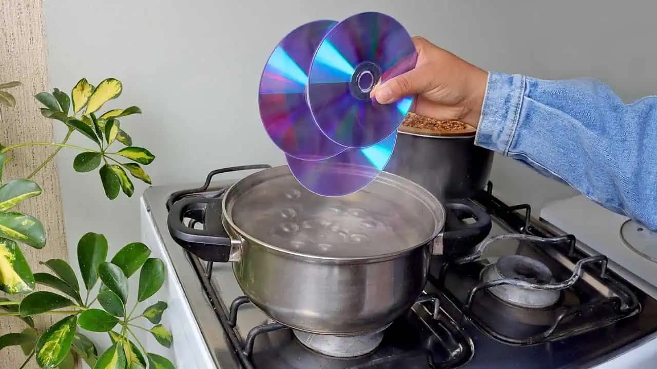 Ak ešte máte doma staré CD-čka, nevyhadzujte ich: Vyrobte si takúto milú dekoráciu!