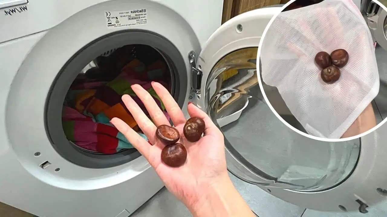 Toto je dobrý DÔVOD, prečo treba dať do práčky aj 3 GAŠTANY: Mám odskúšané, funguje to!