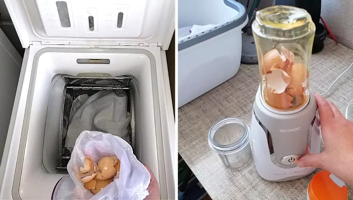 NIKDY viac ich nevyhadzujem: Vaječné škrupiny sú oveľa cennejšie, ako si myslíte. Toto o nich vie málkto!