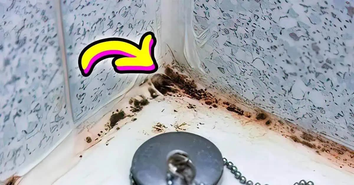 Konečne viem, ako RAZ A NAVŽDY odstrániť čiernu pleseň z kúpeľne: Tu je návod, ktorý funguje!
