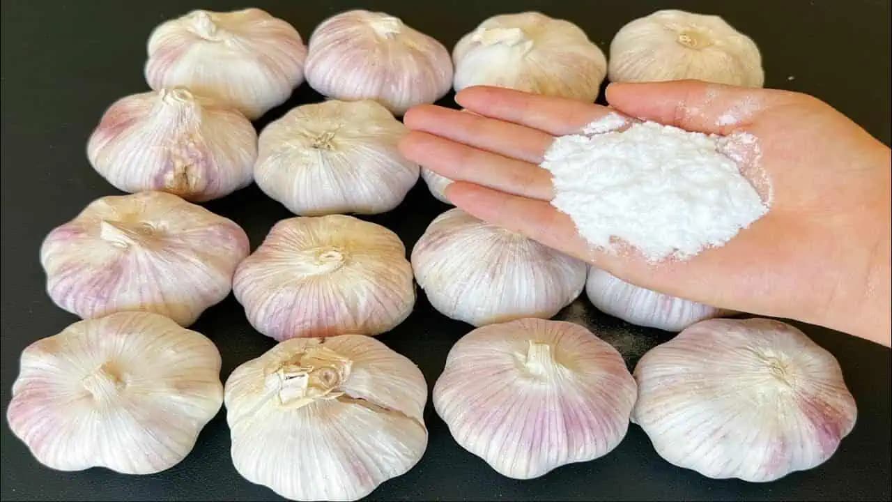 Babka to vždy pridávala do vrecka k cesnaku a vydržal do ďalšej úrody: Nepokazila sa ani jedna hlávka!