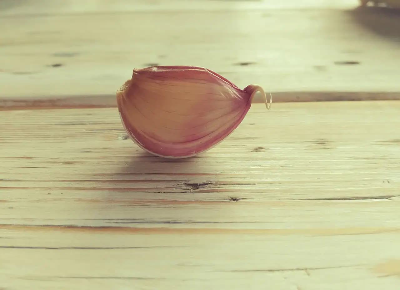 Nevídané triky s obyčajným cesnakom: Nedávajte ho len do jedál!