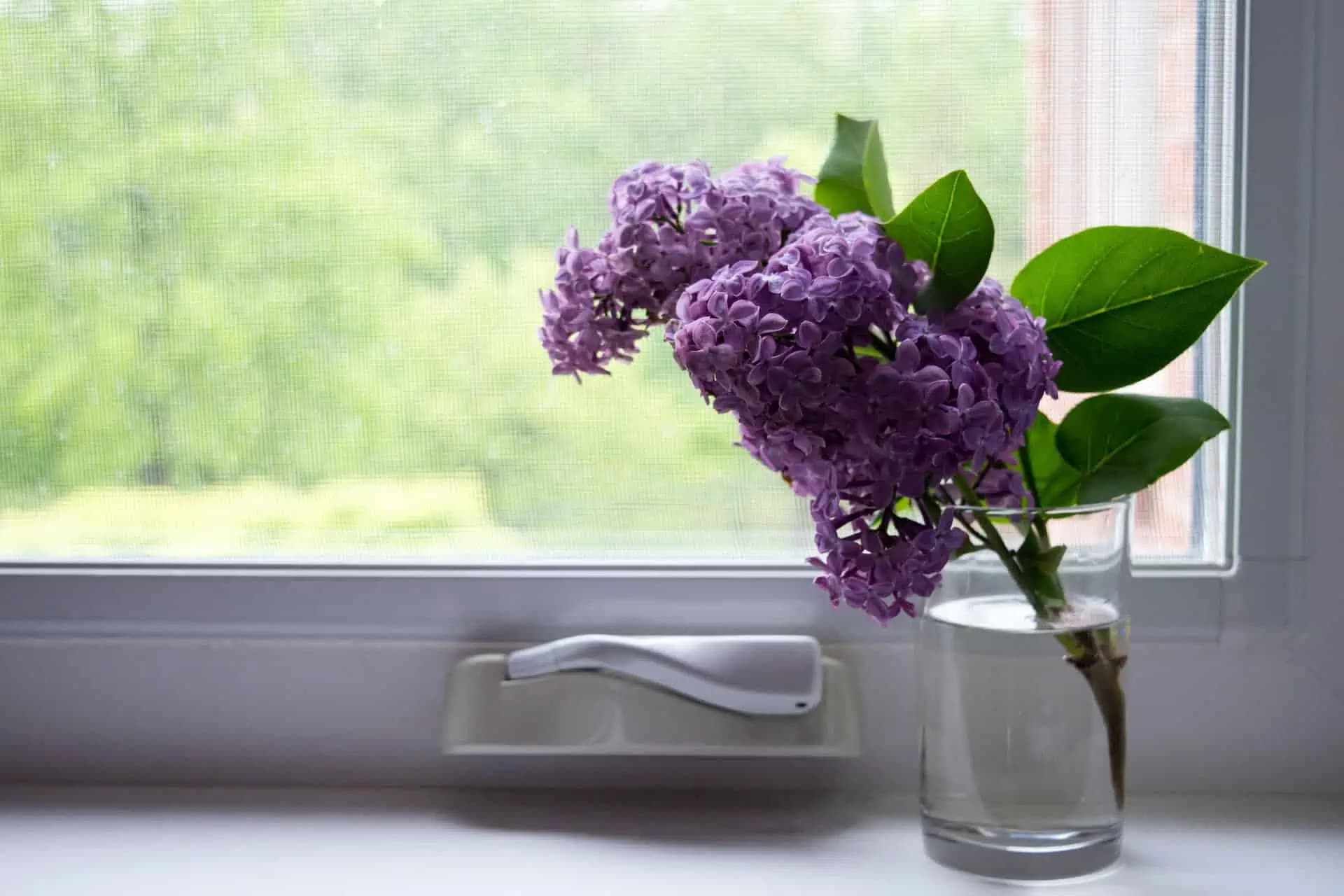 Sú vaše plastové okná zažltnuté a špinavé? Tento účinný spôsob ich znovu vybieli dočista!