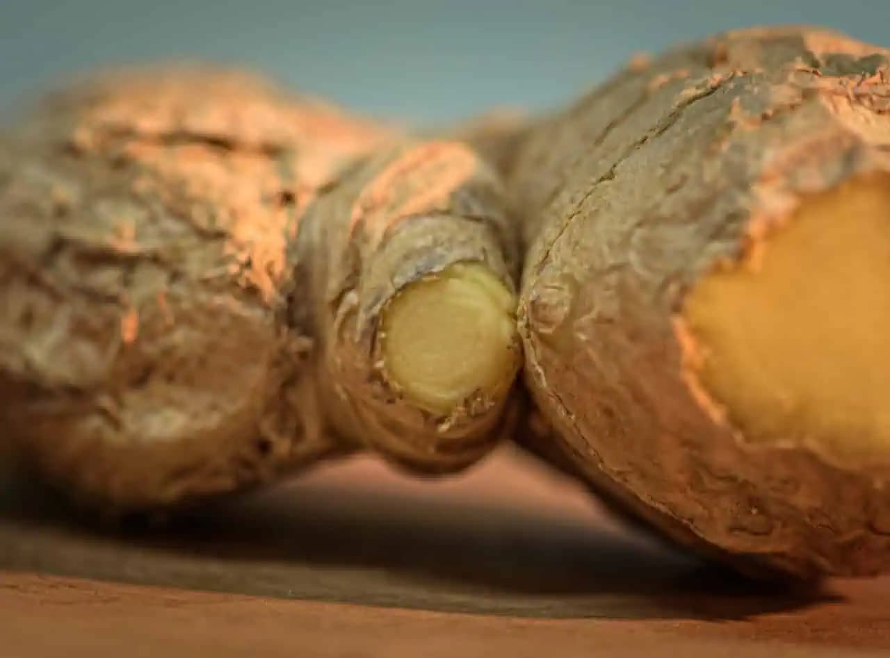 Jednoduchý návod, ako si vypestovať doma zázvor: Takto ho budete mať vždy poruke!