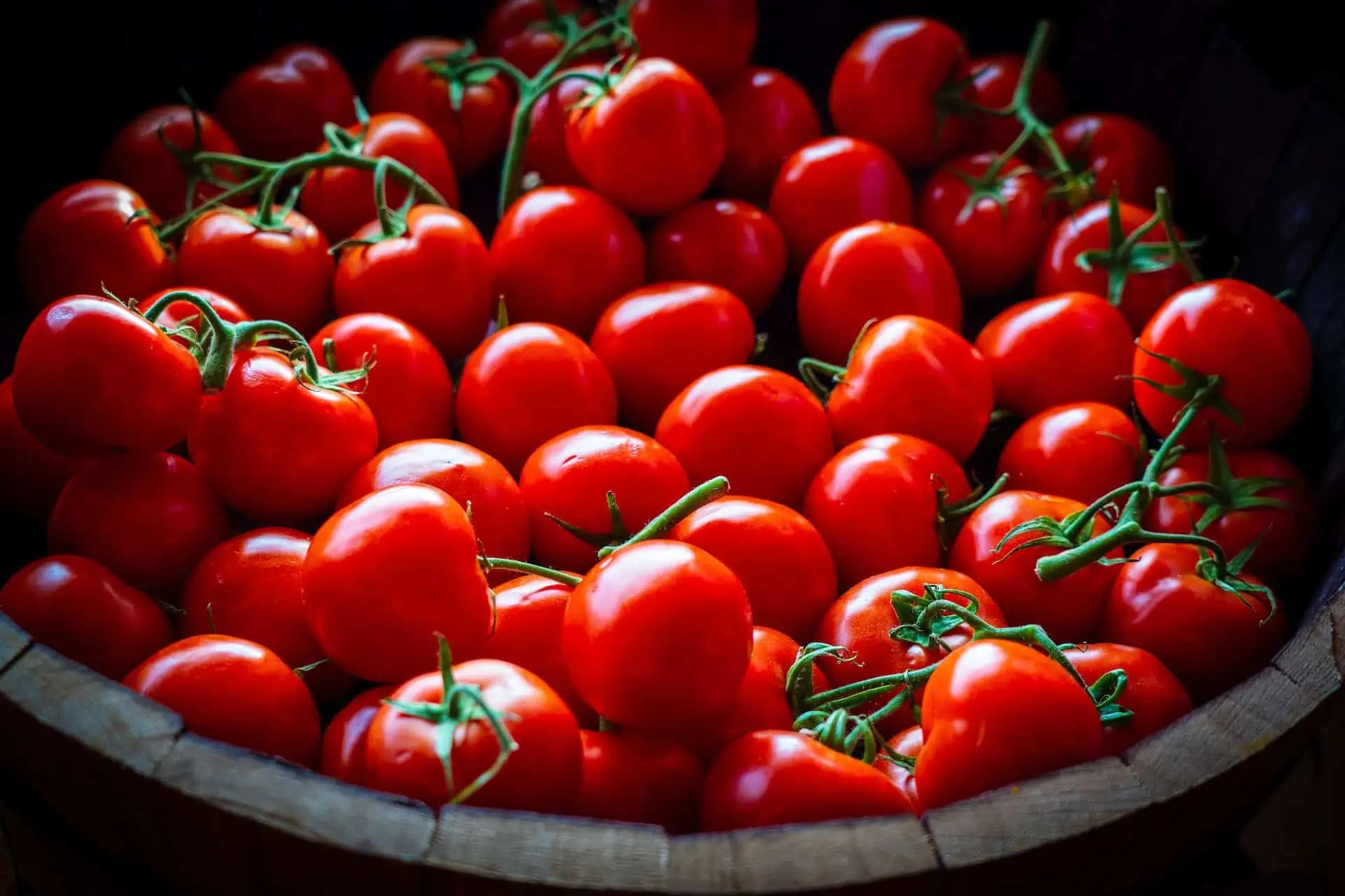 V júli dajte naliehavo vašej zelenine TOTO HNOJIVO: Paradajky, uhorky, aj paprika budú mať OVEĽA bohatšiu úrodu!