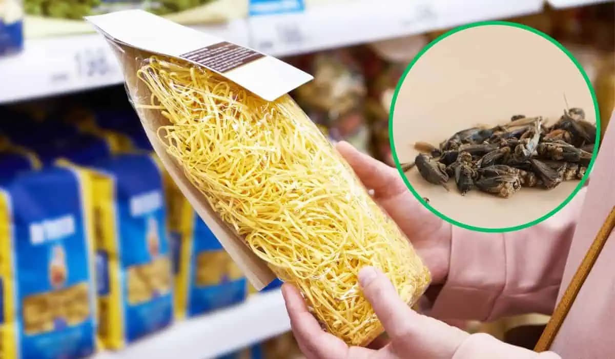 Tento krátky kód znamená cvrčkovú múku: Stačí sa pozrieť a viete, či ho produkt obsahuje!