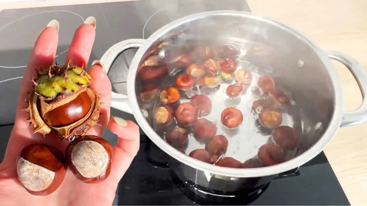 Moja babka vždy zvierala gaštany a doma ich dávala do VRIACEJ vody: TRIK, s ktorým šetrím peniaze dodnes!