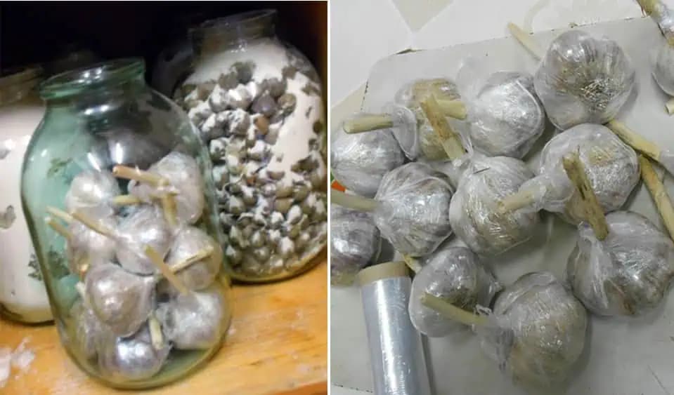 ČERSTVÝ CESNAK po celý rok: Odteraz ho skladujte už len týmto spôsobom!