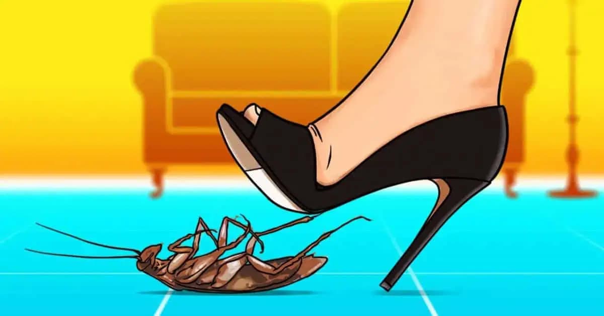 Tu je dôvod, prečo by ste doma nemali NIKDY zašliapnuť tento hmyz: NÁSLEDKY sú vážné!