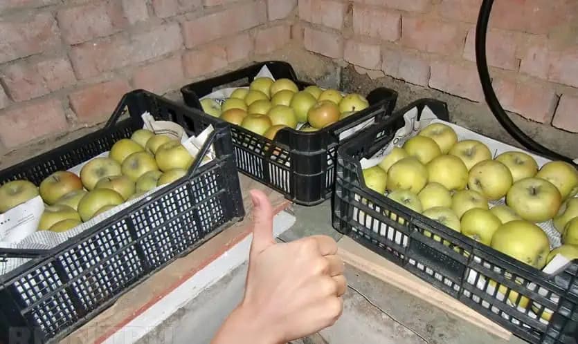 Toto vám v obchode nepovedia: Vďaka tomuto triku sú jablká čerstvé dlhé mesiace, zemiaky neklíčia, a mrkva vydrží celý rok!