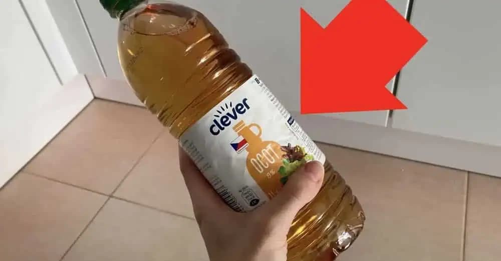 Môj svokor používa lacný ocot spôsobom, o akom sa mi ani nesnívalo: 21 trikov, ktoré ušetria kopec peňazí aj námahy!