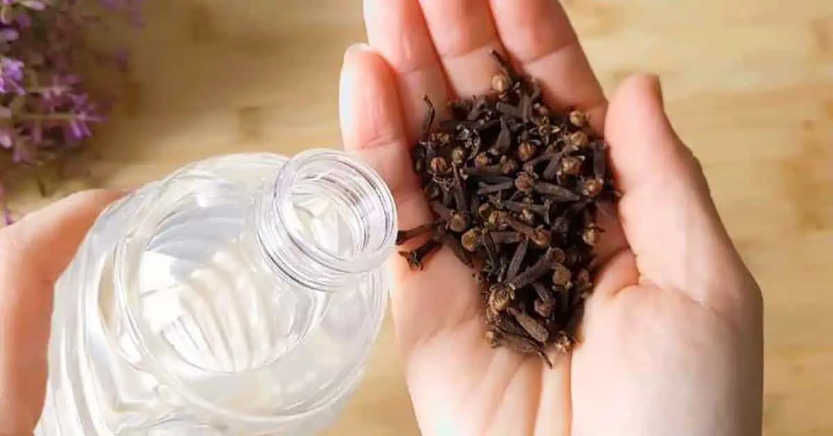 Vezmite pohár octu, obyčajné klinčeky a dobre si uložte tento domáci trik: Používam roky a radím to každému!