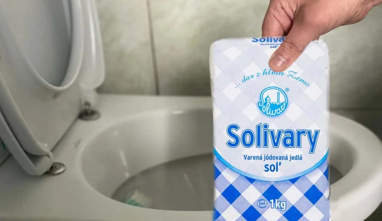 Dôvod, prečo treba do záchoda nasypať soľ poznajú len skúsené gazdinky: Teraz to budete pravidelne!
