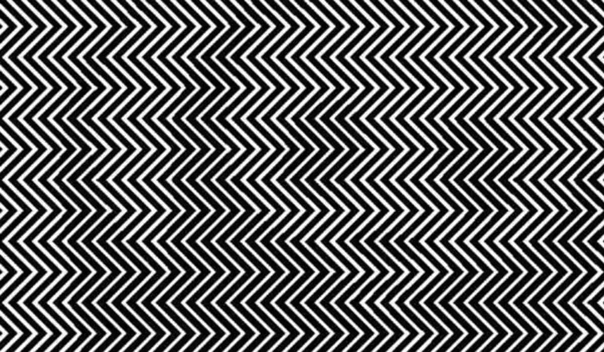 Skryté zviera na obrázku vidí málokto. Tento optický hlavolam je mimoriadne náročný!