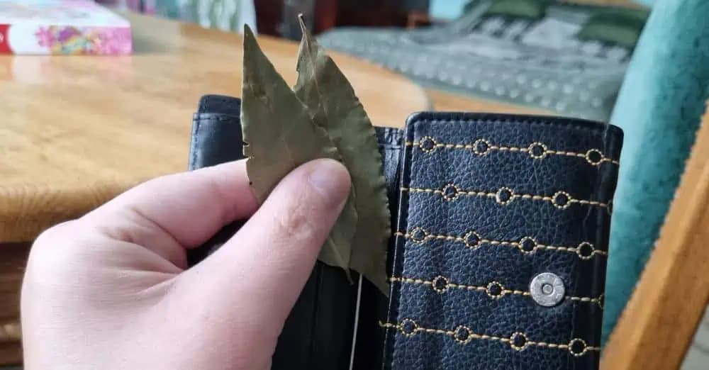 Moja babička si vždy dávala do peňaženky aj dva bobkové listy: KONEČNIE viem, prečo to robila!