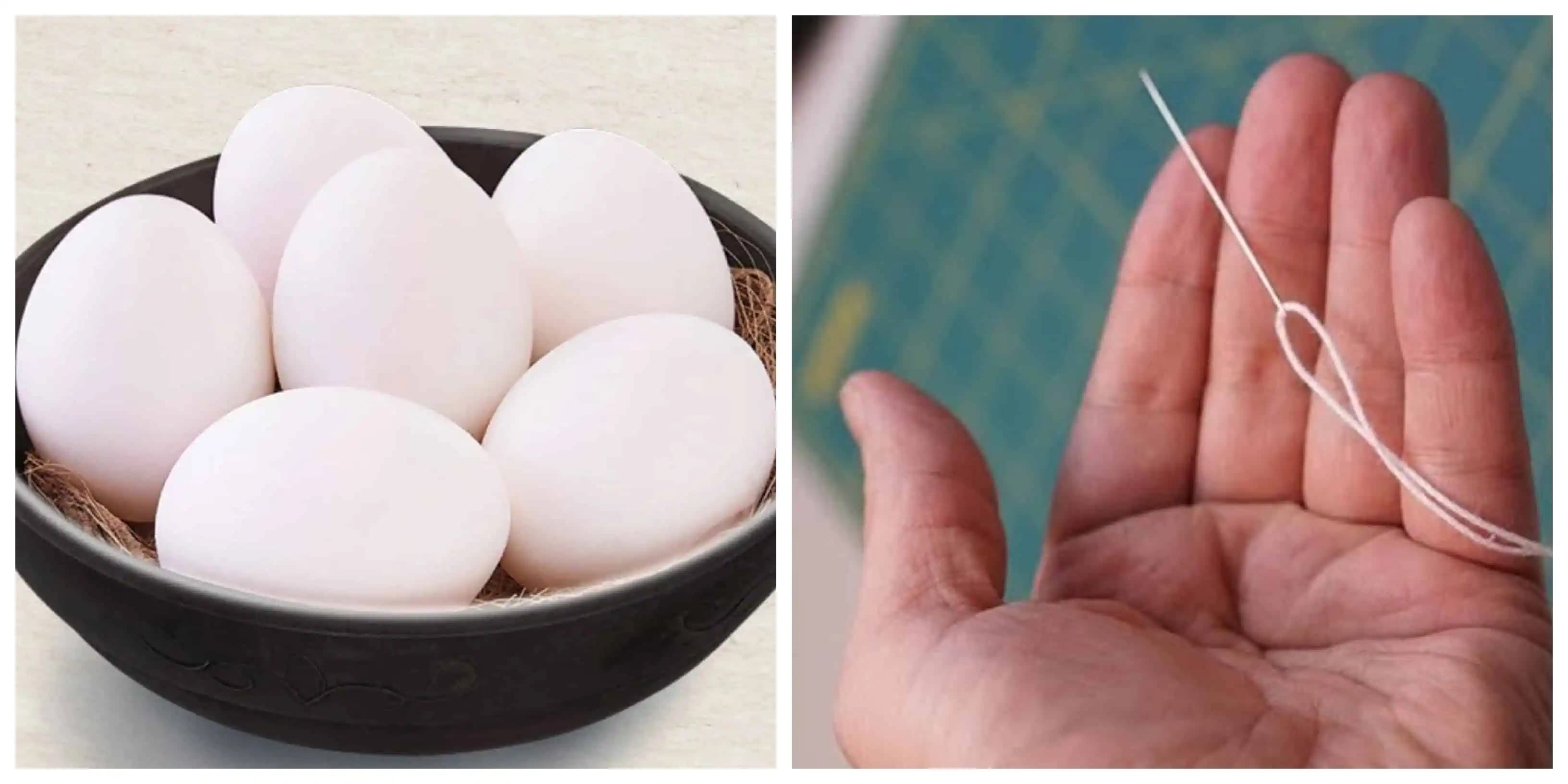 Zobrala obyčajné vajíčka, ihlu a niť: Táto žena posunula zdobenie kraslíc na úplne inú uroveň – neskutočná krása!