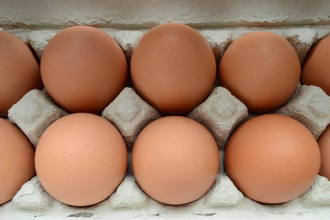 Pokazené vajce spoznáte podľa JEDNÉHO dôležitého detailu a bez toho, aby ste ho rozbili: Všímajte si TOTO!