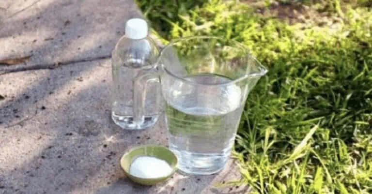 RECEPT, ako sa zbaviť buriny na dlhú dobu: Jednoduchý a efektívny spôsob, ktorý zaručene funguje!