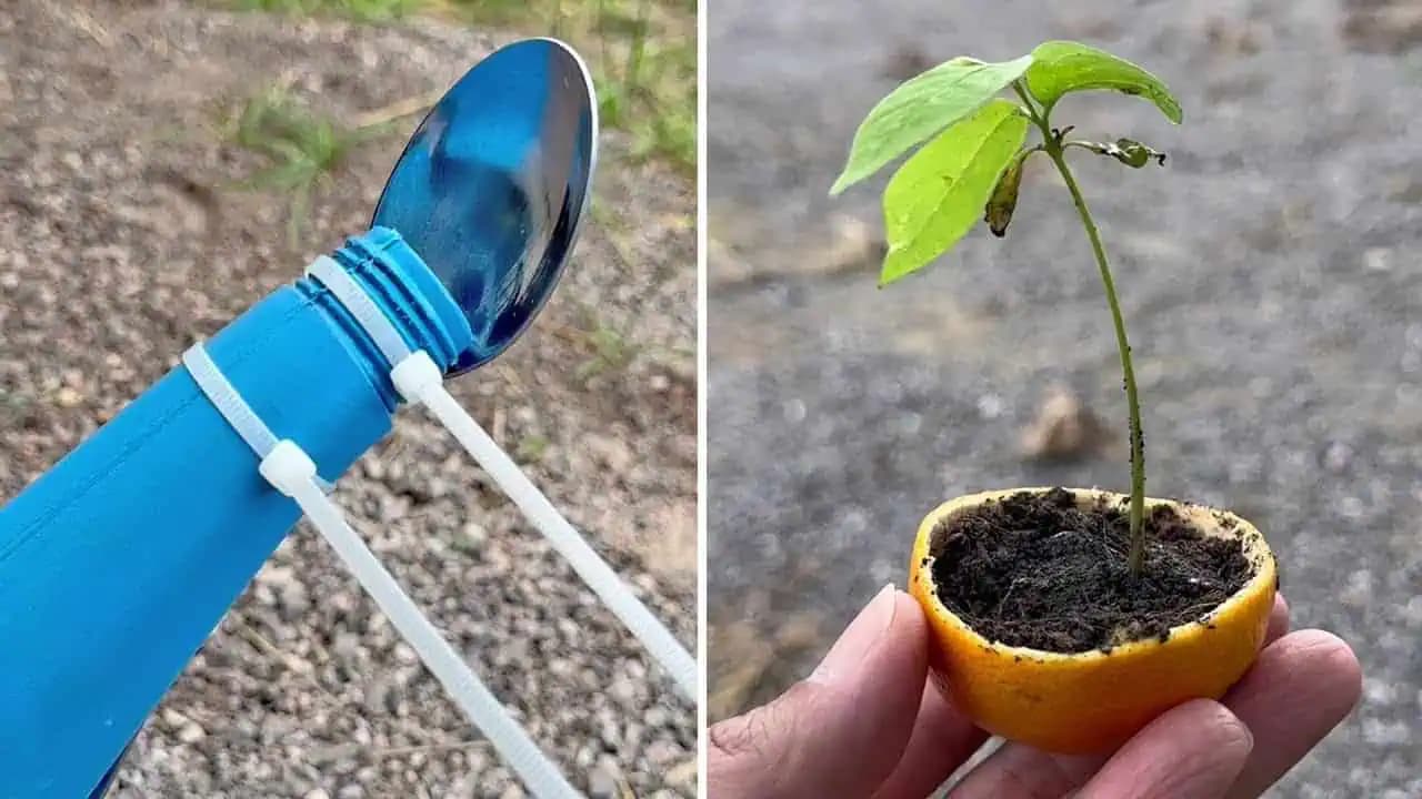 TOTO vám v záhradkárstve nepovedia: Kto pozná tieto triky do záhrady, ten si šetrí kopec peňazí, času a námahy!