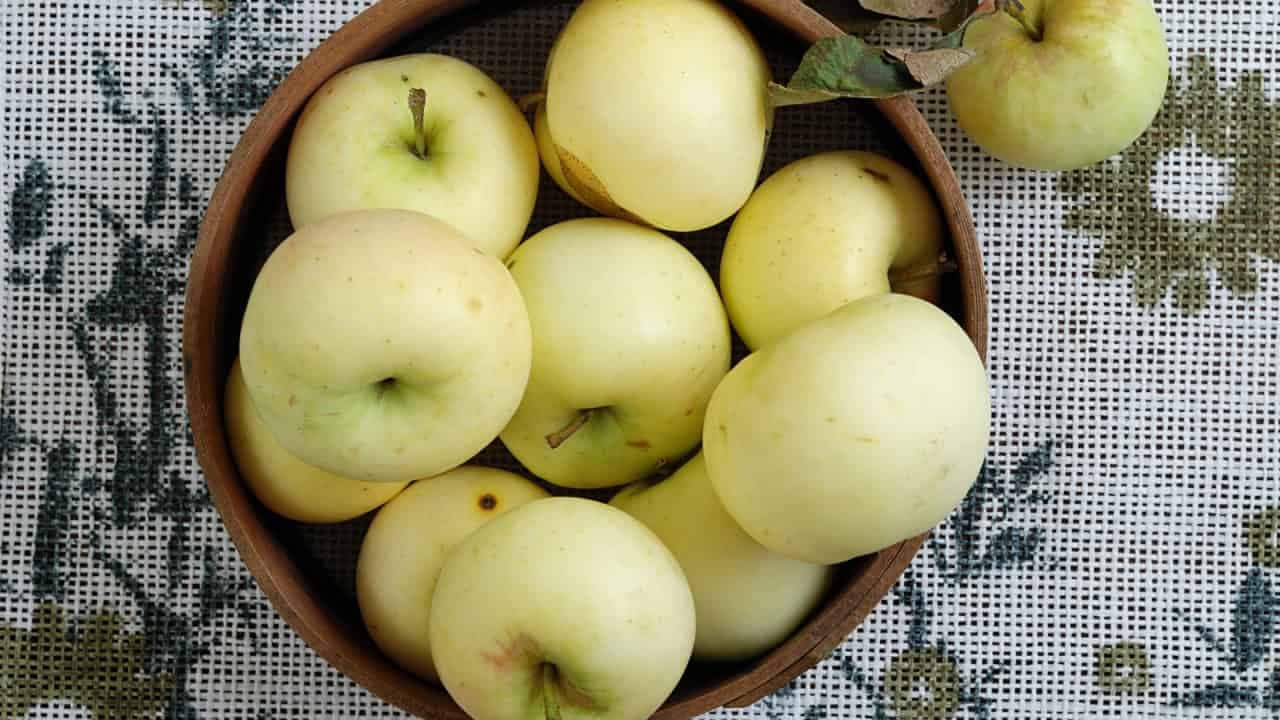 Tieto jablká kedysi rástli v každej slovenskej záhrade: V obchode ich nekúpite z jedného dôvodu!