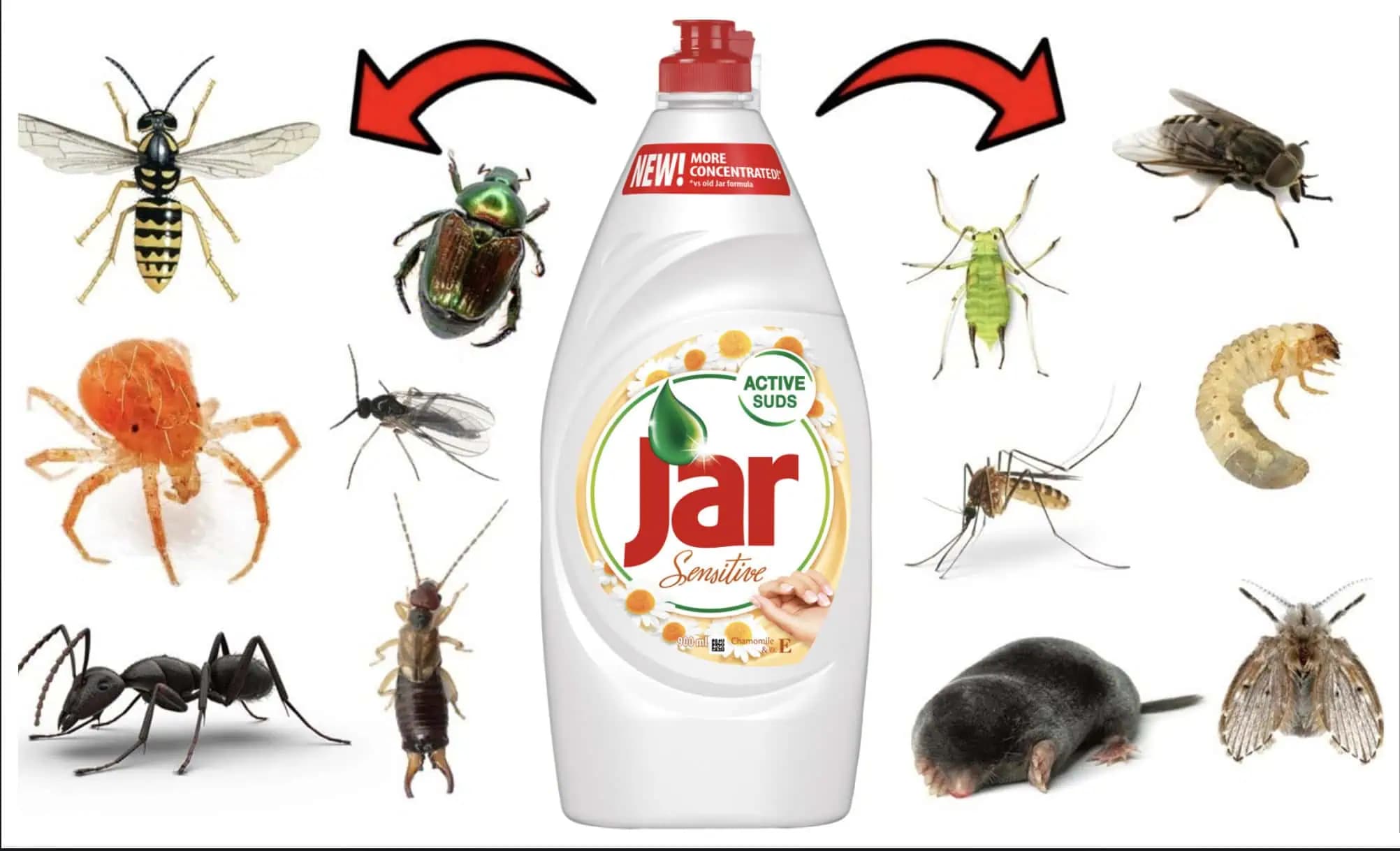 TRIK, ako sa NATRVALO zbaviť letnej hávede pomocou obyčajného saponátu: Funguje to!