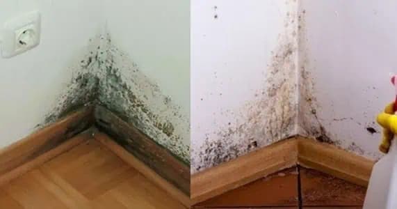 Stačí to nastriekať na stenu a už NIKDY neuvidíte pleseň vo vašom dome!