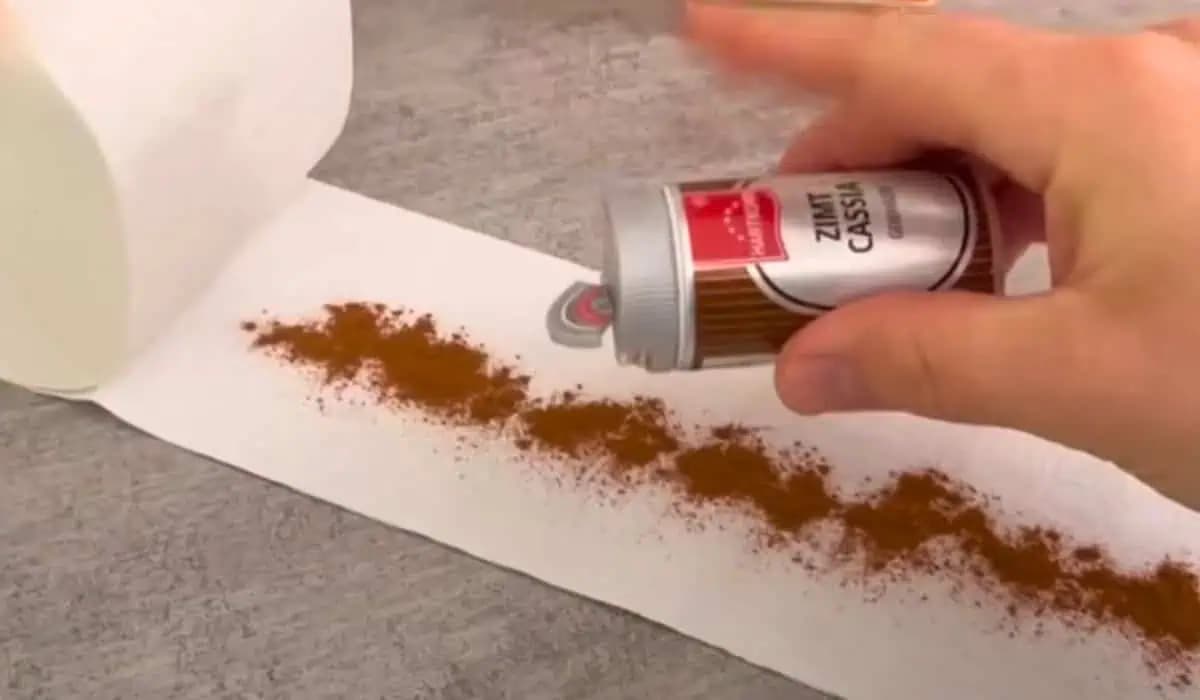 Vezmite si toaletný papier a posypte ho škoricou: Účinok ma úplne ohromil!