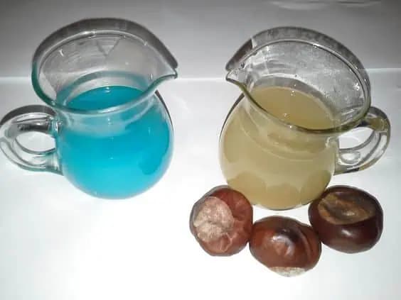 Toto povedzte každému, kto chce prať LACNO a bez chémie: Neuveríte, čo dokážu obyčajné gaštany!