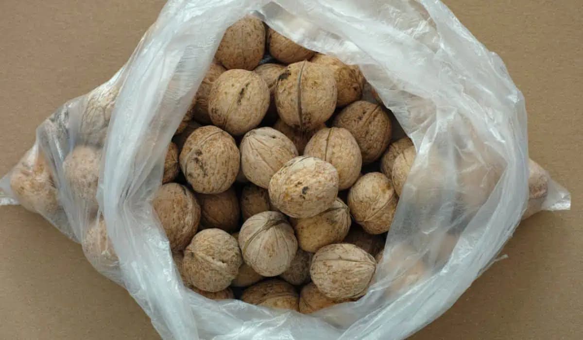 Môj otec vie lúskať orechy aj bez luskáčika: Toto je jeho trik!