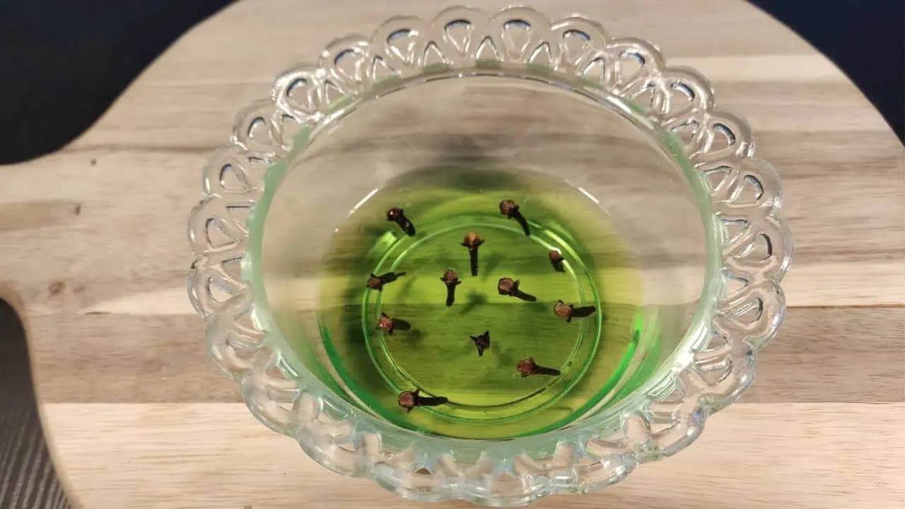 Nasypať pár klinčekov do saponátu bola tá najlepšia vec, ktorú som urobila: Dobre si uložte tento domáci trik!