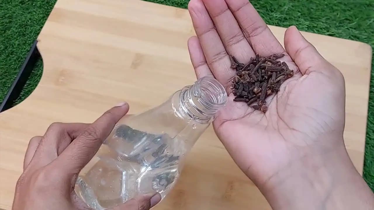 Dať klinčeky do octu bola tá najlepšia vec, ktorú som urobila: Táto rada je jednoducho neprekonateľná!