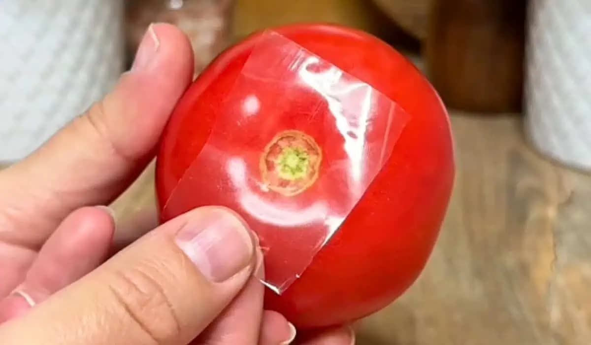 Vezmite paradajku a nalepte na ňu lepiacu pásku: Kiežby som tento TRIK poznal skôr!