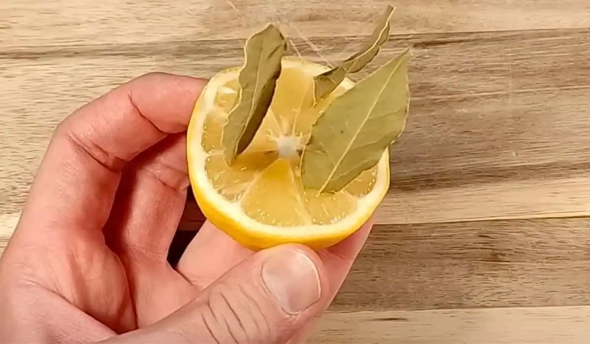 Vezmite citrón a zapichnite do neho bobkové listy: Niekto by mal dostať medailu za tento nápad!