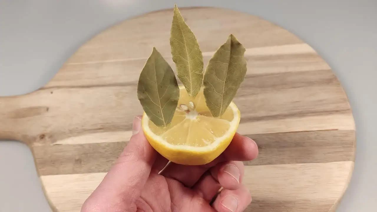 Stačí zapichnúť bobkový list do citróna:Toto je čisté zlato pre váš domov!