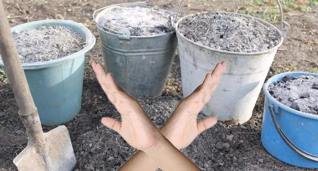 Popol je veľmi cenné hnojivo, no nie každý ho používa správne: Toto môže poškodiť pôdu a rastliny v záhrade.