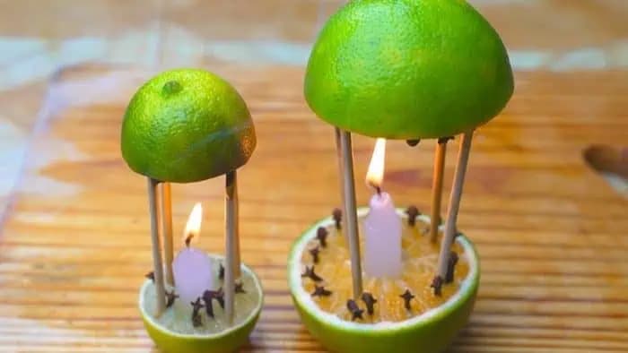 Trik, ako zlikvidovať komáre a zároveň prevoňať celý byt!