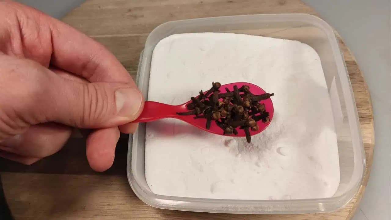 Vezmite pol šálky sódy bikarbóny, obyčajné klinčeky a dobre si uložte tento domáci trik: Účinok, z ktorého budete nadšení!